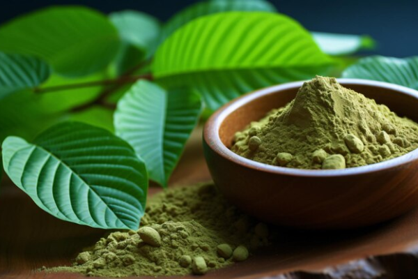 Kratom Fear-Worthy Foliage or Beneficial Botanical - technology shout