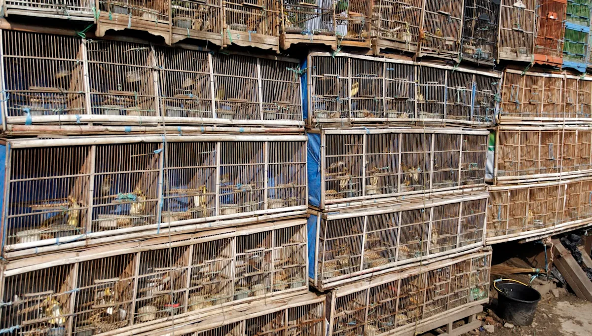 4b3d9cd0aa96705f65b593a1c0463f7e