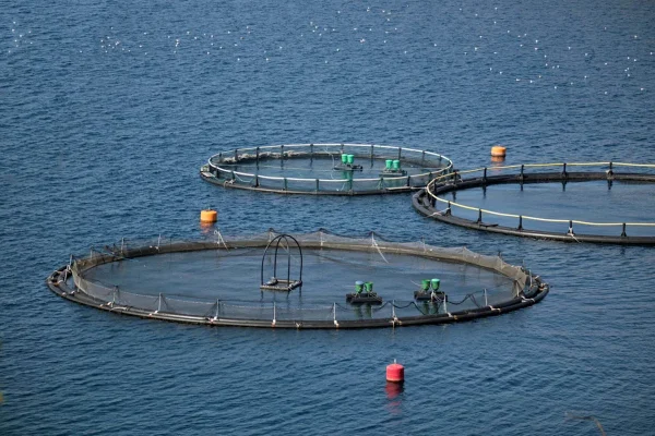 2f9ed8c40adf137bbe6a0d46f4f4c2df