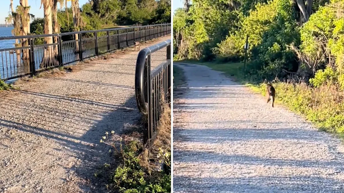 5bdb413bb61a75e8860b7d43301eed0d