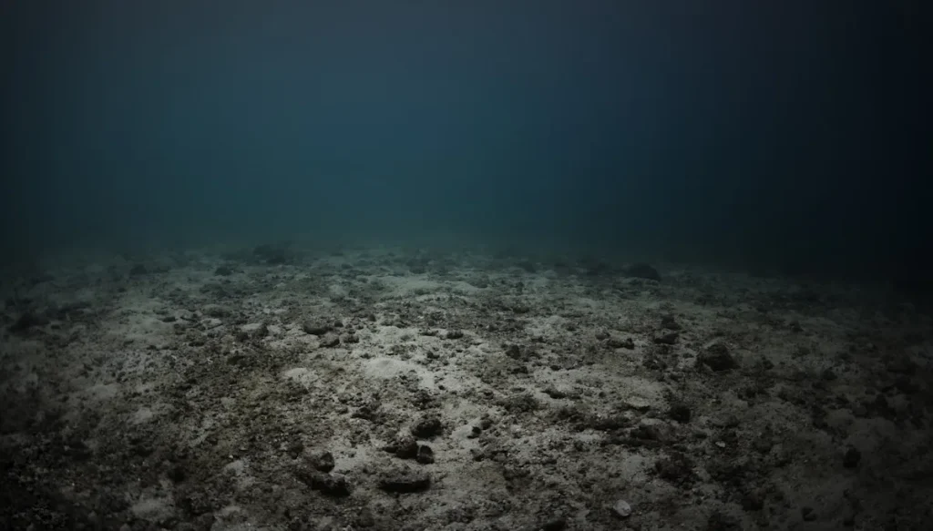 Scientists stunned by discovery in world's coldest ocean waters: 'Signals from the past' 1 9e42cf280cad4e2eb598ad39e6f0df67
