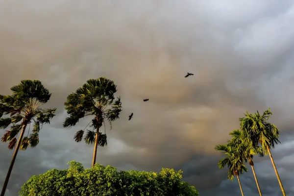 ec45eba1893983573393c1a77eaf3536