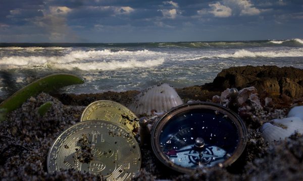Beyond Bitcoin: Assessing The Architecture Of Emerging Altcoins